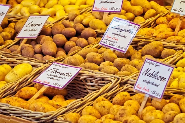 Smart Grocery Sale Tips: Avoid Buying Mistakes